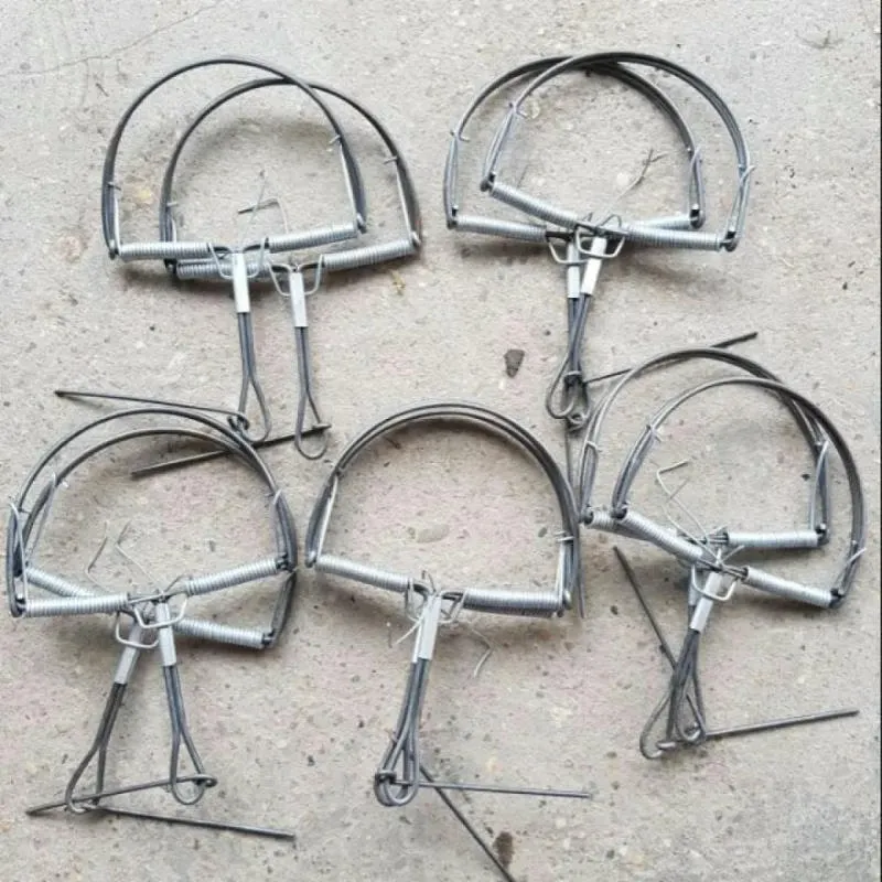 bẫy kẹp chuột bán nguyệt bẫy kẹp chuột bán nguyệt