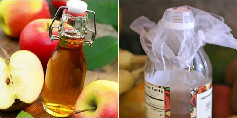 Bẫy ruồi giấm bằng giấm táo Bẫy ruồi giấm bằng giấm táo