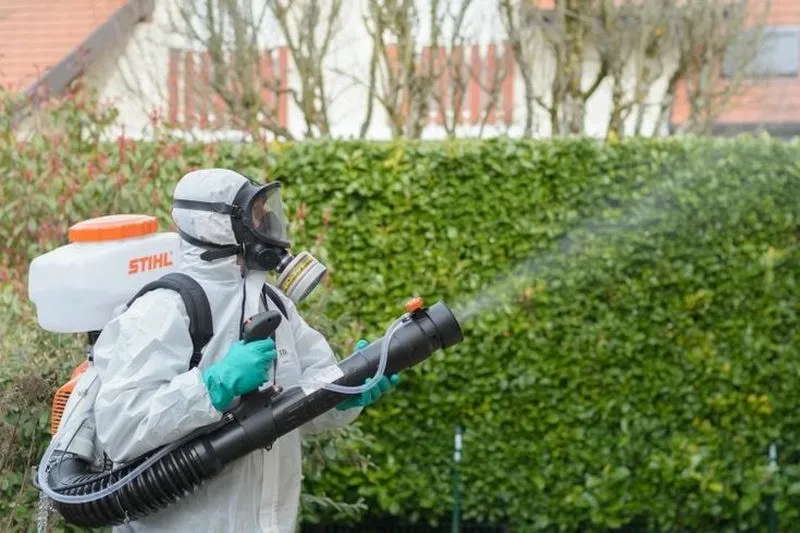 Các bước tiến hành Phun Muỗi Phòng Dịch Bệnh cần phải biết Các bước tiến hành Phun Muỗi Phòng Dịch Bệnh cần phải biết