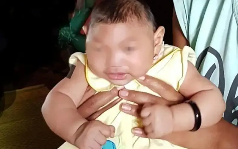 Dịch Zika xuất hiện ở Việt Nam và biện pháp phòng tránh Dịch Zika xuất hiện ở Việt Nam và biện pháp phòng tránh