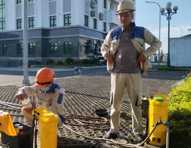 Diệt mối bằng hóa sinh chuyên nghiệp và hiệu quả Diệt mối bằng hóa sinh chuyên nghiệp và hiệu quả