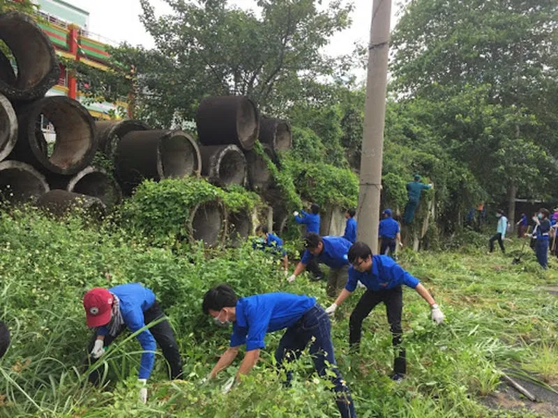 dọn dep, phát quang bụi cỏ để tránh muỗi ghé thăm dọn dep, phát quang bụi cỏ để tránh muỗi ghé thăm