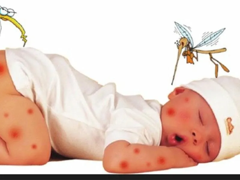 Muỗi trung gian truyền nhiều bệnh nguy hiểm như sốt xuất huyết, Zika, sốt rét và viêm não Nhật Bản Muỗi trung gian truyền nhiều bệnh nguy hiểm như sốt xuất huyết, Zika, sốt rét và viêm não Nhật Bản