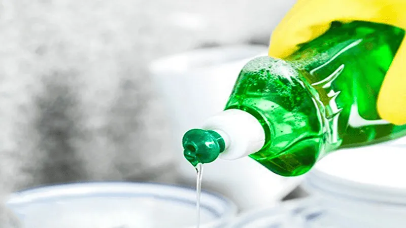 Những cách diệt rệp trắng | rệp sáp trên cây cảnh hiệu quả Những cách diệt rệp trắng | rệp sáp trên cây cảnh hiệu quả