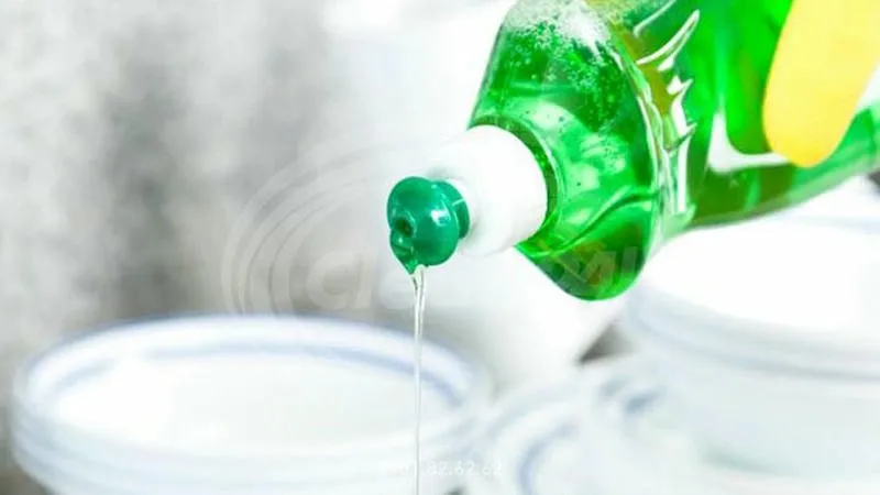 Sử dụng nước xà phòng để diệt kiến hiệu quả mà an toàn Sử dụng nước xà phòng để diệt kiến hiệu quả mà an toàn