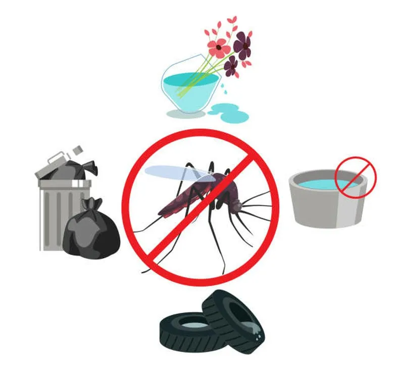 Diệt muỗi tại nhà phòng chống dịch Zika Diệt muỗi tại nhà phòng chống dịch Zika