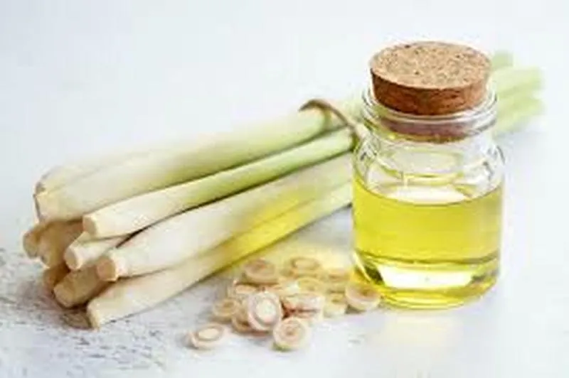 Sử dụng tin dầu xả để xua đuổi ruồi hiệu quả mà an toàn Sử dụng tin dầu xả để xua đuổi ruồi hiệu quả mà an toàn