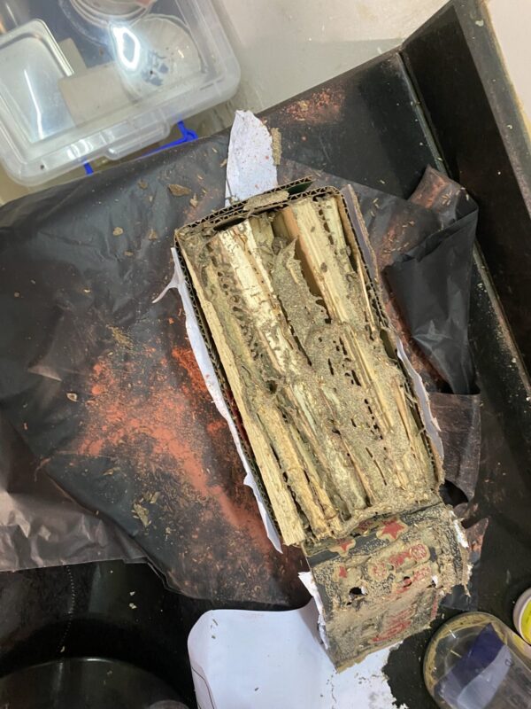 z4543950157377 0ac7e5526084ed8c213c5746d61c865f 1536x2048 1