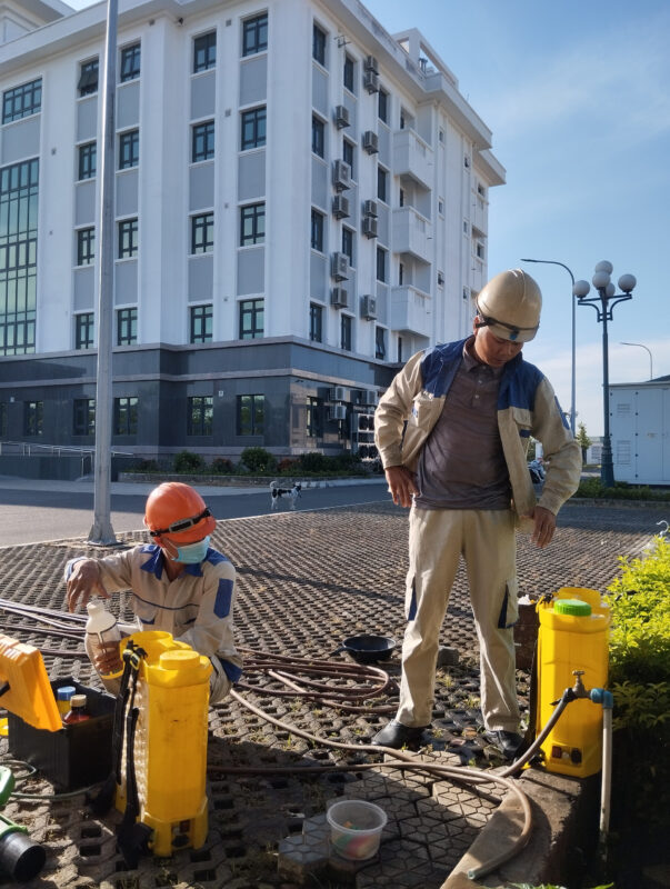 Diet Moi Ba Ria Vung Tau Diet Moi Ba Ria Vung Tau
