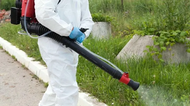 Những biện pháp diệt và ngừa muỗi hiệu quả Những biện pháp diệt và ngừa muỗi hiệu quả