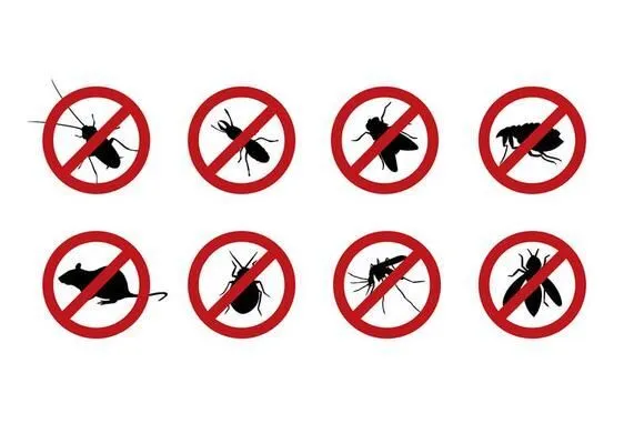 Danh sách dịch vụ diệt mối tận gốc Danh sách dịch vụ diệt mối tận gốc