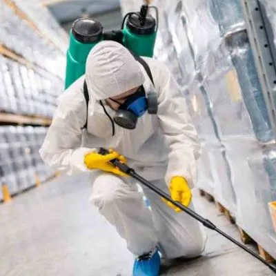 Dịch vụ diệt mối Bà Rịa Dịch vụ diệt mối Bà Rịa