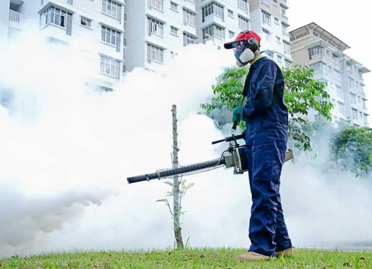 Dịch Vụ Diệt Ruồi Hiệu Quả – Loại Bỏ Ruồi Nhanh Chóng, An Toàn Dịch Vụ Diệt Ruồi Hiệu Quả – Loại Bỏ Ruồi Nhanh Chóng, An Toàn
