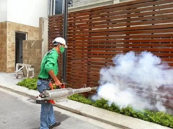 Diệt mối bằng phương pháp hóa học Diệt mối bằng phương pháp hóa học