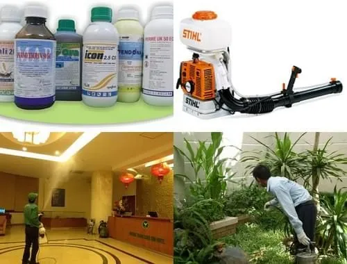 Diệt mối bằng phương pháp sinh học Diệt mối bằng phương pháp sinh học