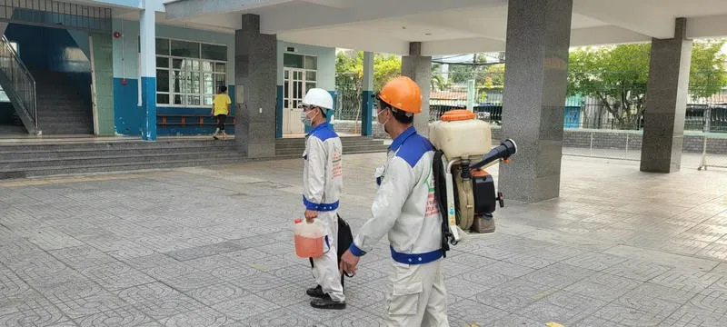Dịch vụ diệt mối chuyên nghiệp tại Bà Rịa Vũng Tàu Dịch vụ diệt mối chuyên nghiệp tại Bà Rịa Vũng Tàu