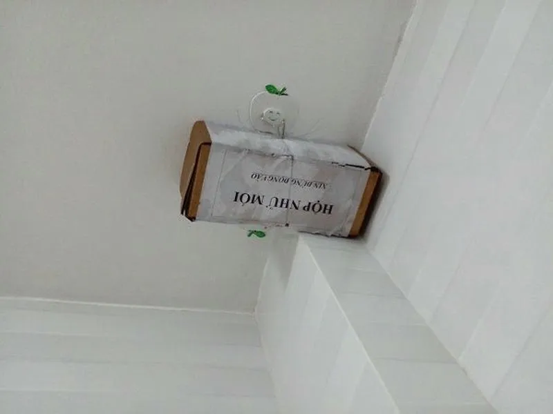 Hình ảnh đặt bẫy mối tại các điểm nghi có tổ mối trong nhà Hình ảnh đặt bẫy mối tại các điểm nghi có tổ mối trong nhà