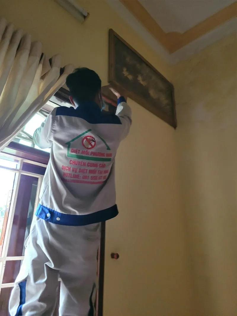 Nhân viên Phương Nam đang đặt hộp nhử để bẫy mối tại Long Điền Nhân viên Phương Nam đang đặt hộp nhử để bẫy mối tại Long Điền