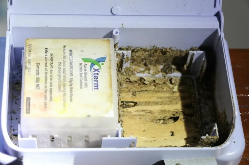 Đặt hộp nhử mối trong nhà dân tại Bà Rịa để xử lý tận gốc Đặt hộp nhử mối trong nhà dân tại Bà Rịa để xử lý tận gốc