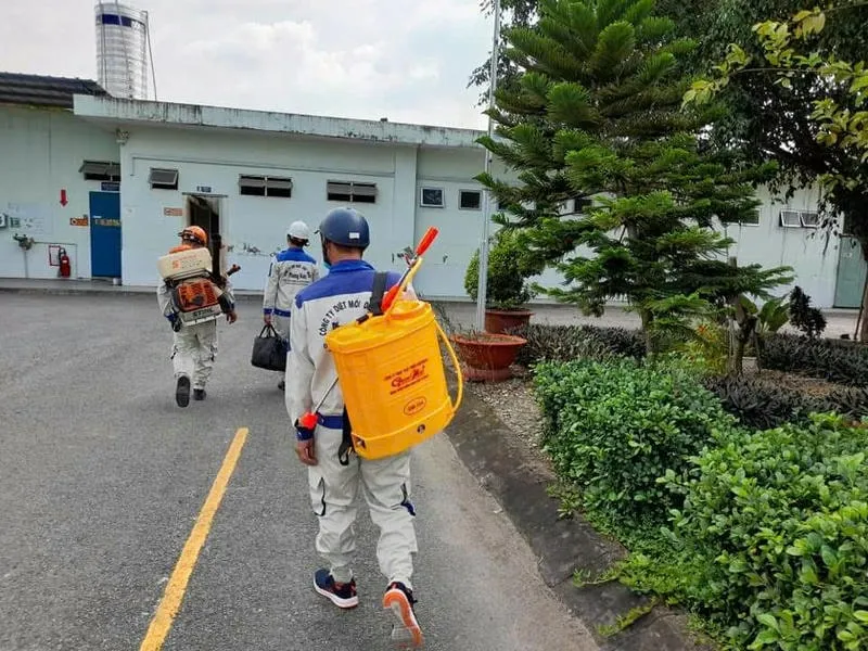 Kỹ thuật viên diệt mối tại Phú Mỹ – Công ty Phương Nam Kỹ thuật viên diệt mối tại Phú Mỹ – Công ty Phương Nam