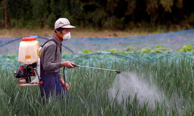 Diệt Côn Trùng Gây Hại Chuyên Nghiệp, An Toàn Cho Mọi Không Gian Diệt Côn Trùng Gây Hại Chuyên Nghiệp, An Toàn Cho Mọi Không Gian