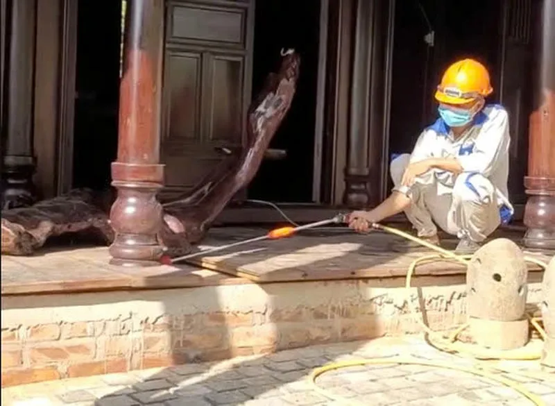Nhân viên Công ty Phương Nam đang xử lý tổ mối tại công trình ở Vũng Tàu Nhân viên Công ty Phương Nam đang xử lý tổ mối tại công trình ở Vũng Tàu