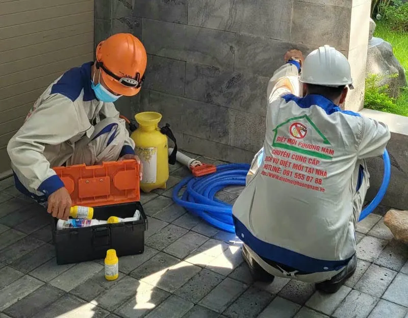 Dịch vụ diệt mối Phương Nam đang xử lý thực tế tại công trình ở Bà Rịa Dịch vụ diệt mối Phương Nam đang xử lý thực tế tại công trình ở Bà Rịa