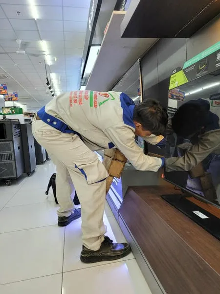 dự án diệt mối