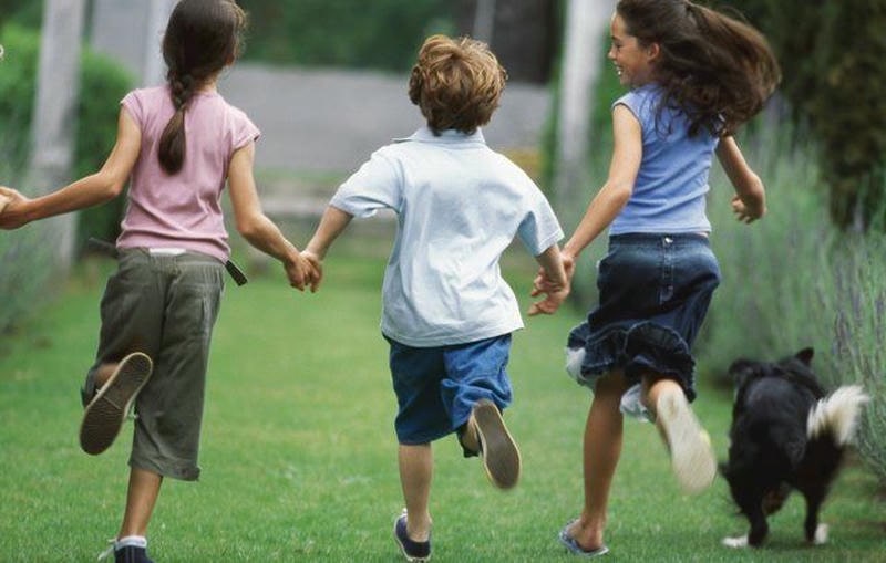 Khách hàng hài lòng với dịch vụ phun muỗi tại Vũng Tàu Khách hàng hài lòng với dịch vụ phun muỗi tại Vũng Tàu