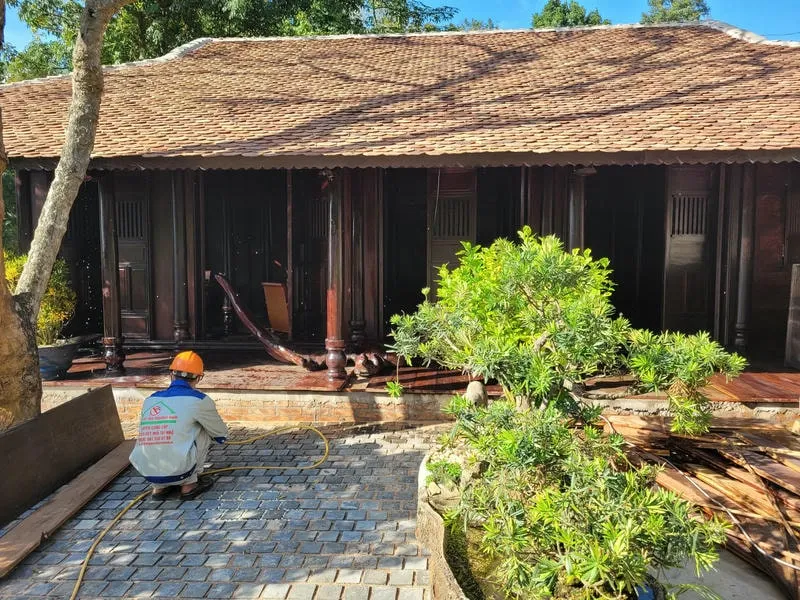 Nhân viên khảo sát tổ mối tại Bà Rịa trước khi xử lý Nhân viên khảo sát tổ mối tại Bà Rịa trước khi xử lý