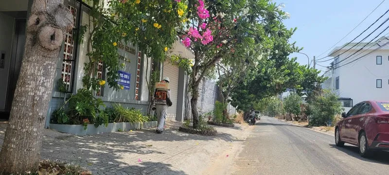 Lợi ích khi sử dụng dịch vụ phun muỗi chuyên nghiệp Lợi ích khi sử dụng dịch vụ phun muỗi chuyên nghiệp