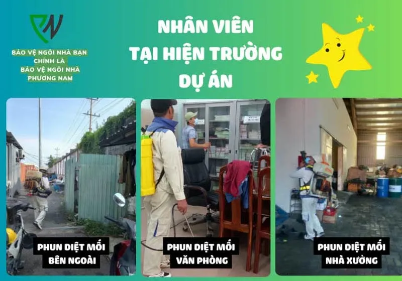 Khách hàng lựa chọn công ty diệt mối uy tín qua điện thoại hoặc website Khách hàng lựa chọn công ty diệt mối uy tín qua điện thoại hoặc website