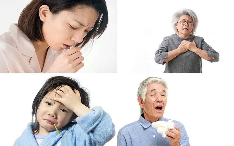 Phân mối gây dị ứng, ảnh hưởng đường hô hấp Phân mối gây dị ứng, ảnh hưởng đường hô hấp
