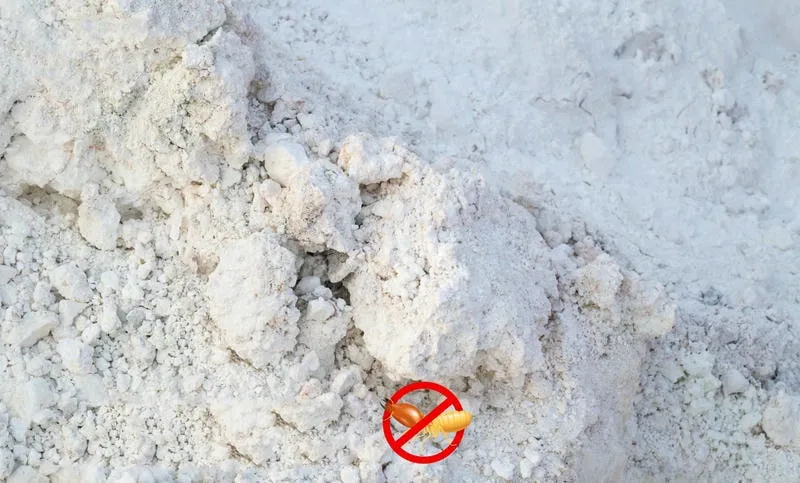 Sử dụng thuốc diệt mối dạng bột tại nhà Sử dụng thuốc diệt mối dạng bột tại nhà