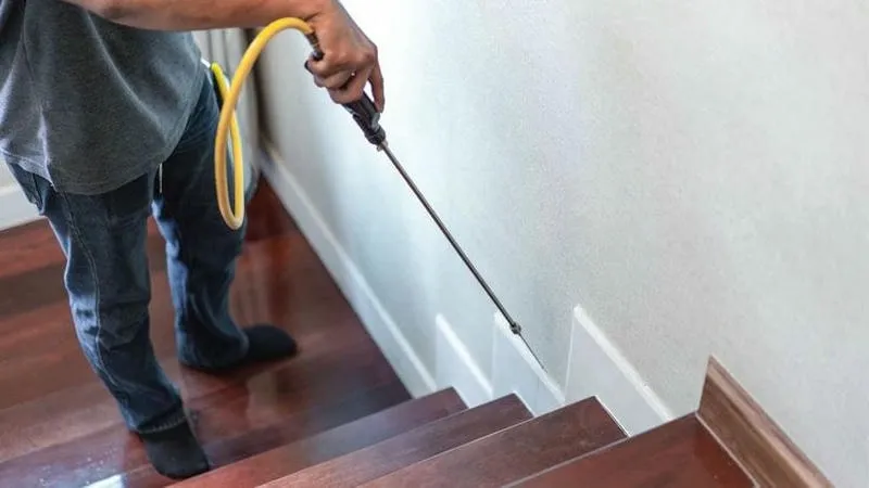 Phun thuốc diệt mối chuyên nghiệp tại nhà Phun thuốc diệt mối chuyên nghiệp tại nhà
